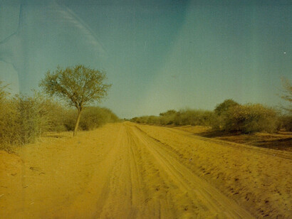 Botswana occidentale, confine con la Namibia
