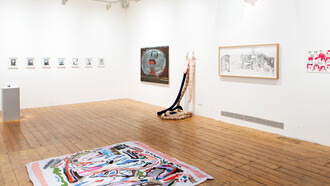 2016 Bow Open Show, curated by Anj Smith, courtesy Nunnery Gallery, photographer Rob Harris