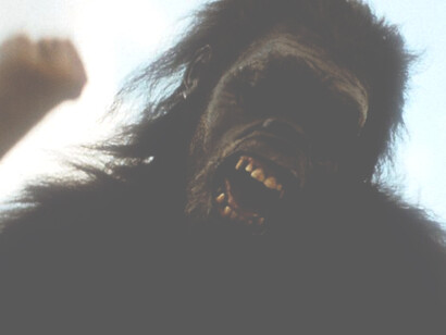 L’evoluzione consapevole si produce a livello mentale, non biologico