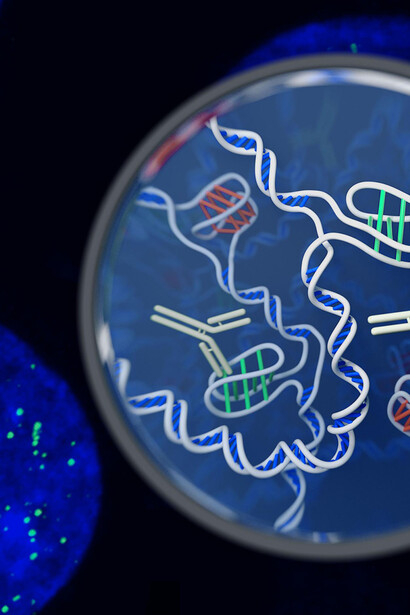 Esame del DNA