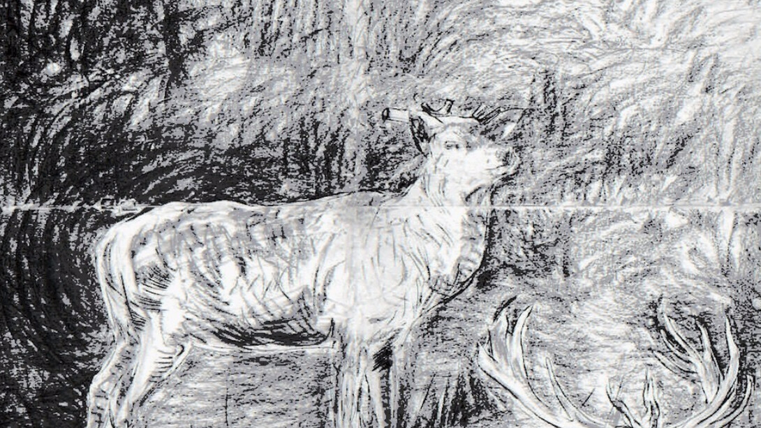 Adel Abdessemed, Cerf, 2016. Courtesy of Cahiers d'Art