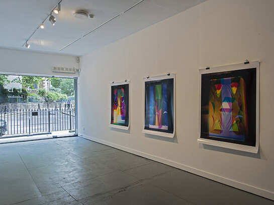 Una Knox. sounding out plant hunters, space seekers, listeners, fakers, keepers, installation view