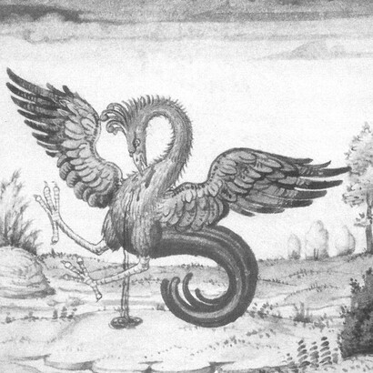 Illustrazione della Fenice tratta dalle Visions de Pétrarque di Marot, manoscritto SMM2 conservato presso l'Università di Glasgow, 1400 - 1600