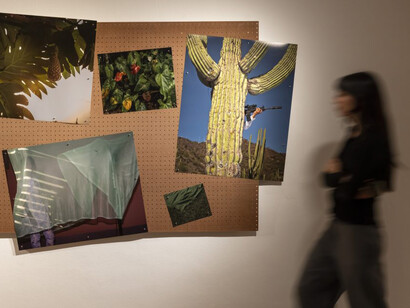 Cristina de Middel, Apoteosis now, exhibition view. Courtesy of IVAM