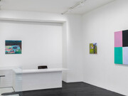 Rosalind Nashashibi, Tender horse, ausstellungsansicht. Mit freundlicher genehmigung der Galerie Urs Meile