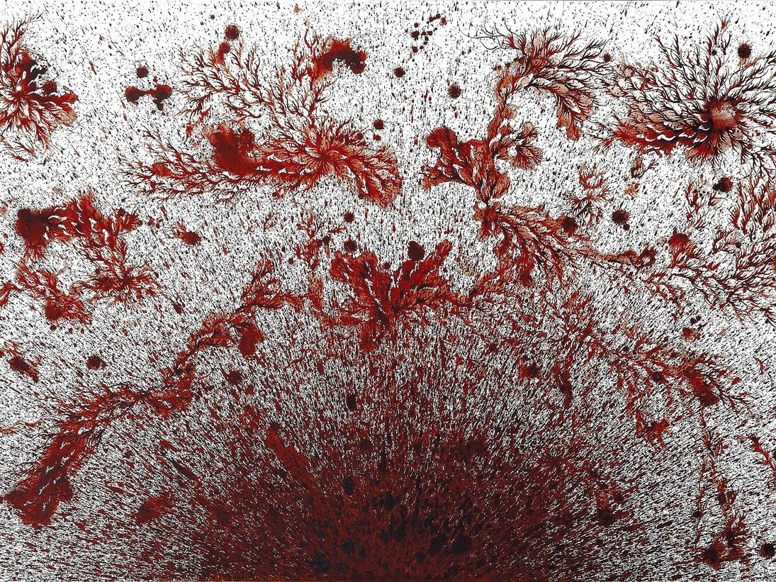 Imran Qureshi, This Leprous Brightness, 2015, Acrylic paint on canvas, 91,4 x 152,4 cm (36 x 60 in), Courtesy Galerie Thaddaeus Ropac Paris/Salzburg. Photo: Usman Javed