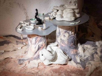 Katarína Bajkayová, Prunus perisca, exhibition view. Courtesy of the Bratislava City Gallery