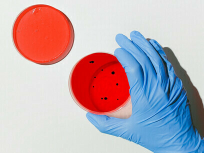 Im Labor: Eine Hand, die Proben zusammenstellt