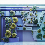 Ammonite & Thunderbolt. Courtesy of Naturhistorisches Museum Basel