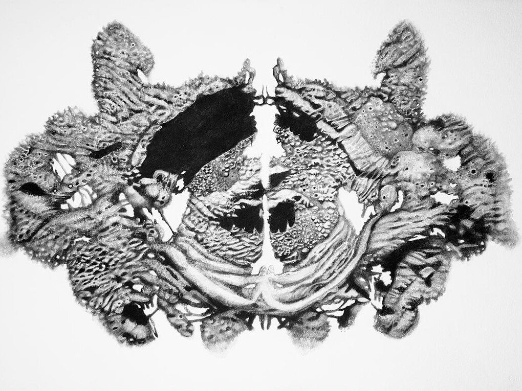 Colette Robbins, Mamillary Body, 2014. Graphite painting on paper, 15 x 22.5 in.