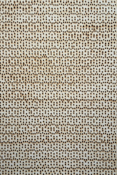 Ankush Safaya, Untitled (detail), 20025. Courtesy of Sakshi Gallery
