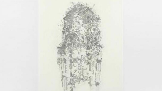 Guillermo Kuitca, Encyclopédie III, 2010, Acrylic and grahite on canvas, 196 x 151 cm / 77 1/8 x 59 1/2 in, © Guillermo Kuitca,
Courtesy the artist and Hauser & Wirth, Photo: Alex Delfanne