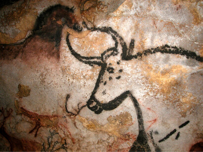 Toro nelle grotte di Lascaux (Francia)