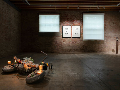 Various artists, American vignettes. Symbols, society, and satire, exhibition view. Courtesy of Rubell Family Collection