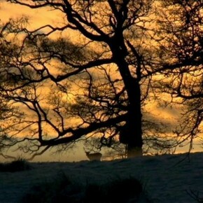 Miriam de Búrca My Home is His Castle, 2011, film (with sound) (16:9 format) Edition of 3
Courtesy the artist and the Alan Cristea Gallery