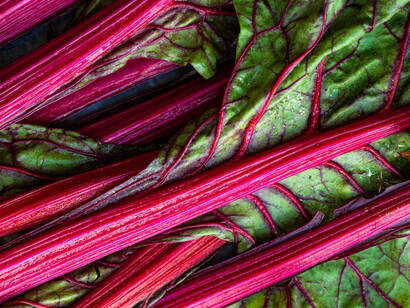 For the best nutrition and flavor, you want the freshest greens possible