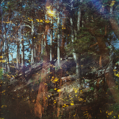 John Chiara, Avenue H: Traverse: Strawberry Hill, 2023, unique camera obscura ilfochrome
photograph, 47.25x38.25 inches. Courtesy of the artist and Haines Gallery, San Francisco