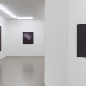 Courtesy Galerie Guido W. Baudach; Berlin
Photo: Roman März