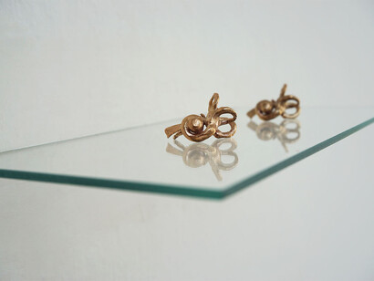 Rowena Harris, Walking around in clockwise circles, (detail), 2015, bronze, glass, Two right sided cochlear (inner ear) taken from an MRI scan, digitally printed in wax and then cast in bronze. Presented on glass inset into the wall, 15 x 7.5 x 1.5 cm