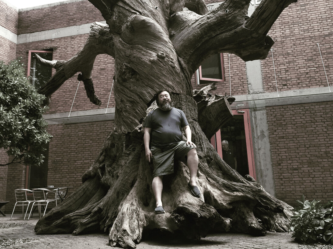 Ai Weiwei standing on Tree, 2015
