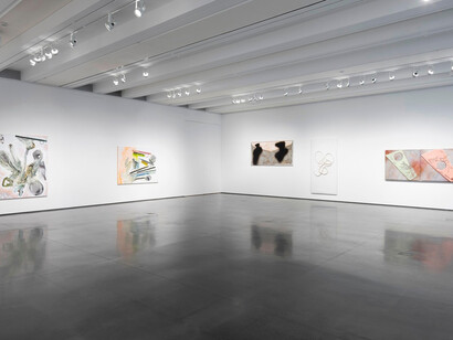 Seth Price. Courtesy of Aspen Art Museum