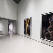 No Two Alike. Courtesy of Contemporary Arts Center