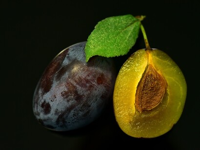 La prugna contiene molte fibre e vitamine, utile per chi soffre di gotta e stipsi 