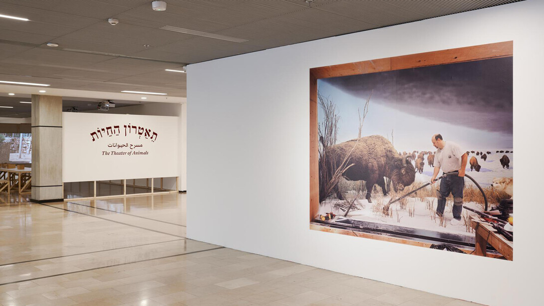 Various artists, Theatre of animals, exhibition view. Courtesy of Tel Aviv Museum of Art