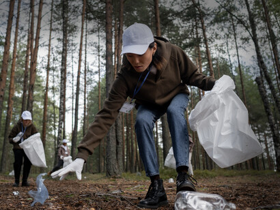 Volunteers in our forest, keeping it clean