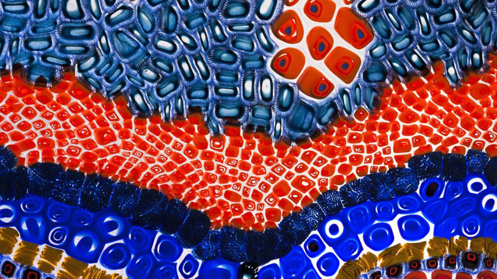 Lino Tagliapietra. Courtesy of Heller Gallery