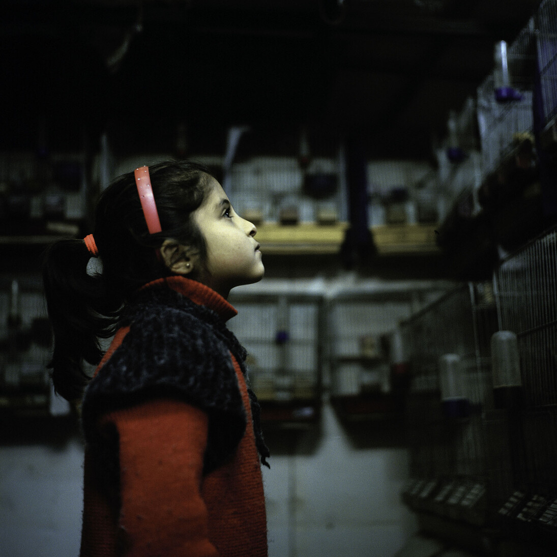 Mohamed Lazare Djeddaoui, La fille de l’ogre, Syrie, 2014 © Mohamed Lazare Djeddaoui, OEuvre exposée à l’IMA