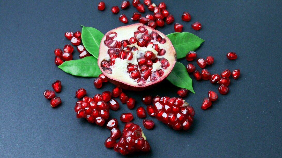 Apareço no livro do folclore judaico-cristão quando sou encontrado na terra prometida como amostra de fertilidade. Também sou citado quando me viram nos jardins do Rei Salomão, aí pronto, a associação com a prosperidade foi certa. Contaram as minhas sementes e disseram que são 613 bagas que coincidem com os 613 provérbios de outra escritura com nome de pedaço de madeira, vai saber quem é que teve este trabalhão todo de contar os meus grãozinhos... Em cerimônias e ritos da Antiguidade representava ordem, riqueza e fecundidade. Para determinado povo sou esperança de ano novo. Só por aqui, isso já não é coisa demais? Não aguento...