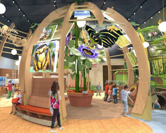 Discovery Zone. Courtesy of Florida Museum of Natural History