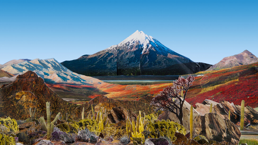 Justine Blau, The Circumference of the Cumanan Cactus, 2010, © the artist, courtesy of Huxley-Parlour Gallery and Osborne Samuel