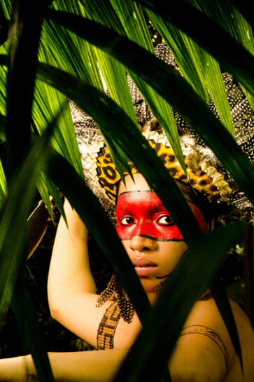 Fernando Sette Câmara, *A Deusa Vitória Régia*