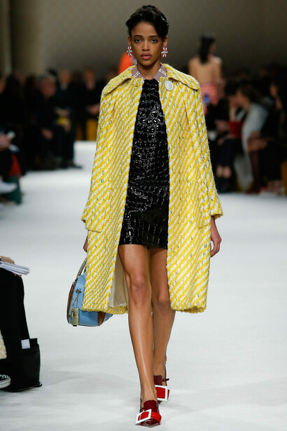 Collezione Miu Miu autunno 2015 alla Fashion Week di Parigi, marzo 2015