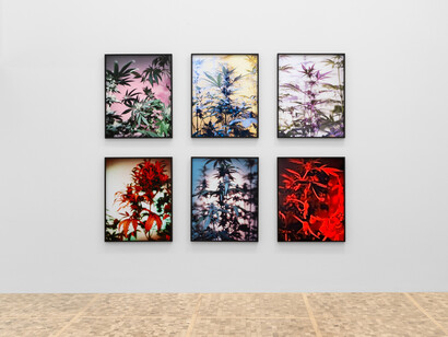 Varios artistas, El horizonte siempre se aleja, vista de exhibición. Cortesía del Museo Tamayo