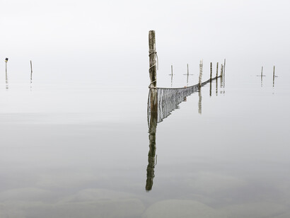 En el agua teme a su reflejo la luciérnaga
(Den Sute-jo, discípula de Bashó)

