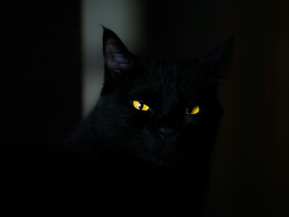 Gatto nero. Gatto nero, specchi rotti e ombrelli aperti: superstizioni quotidiane e il loro retaggio storico