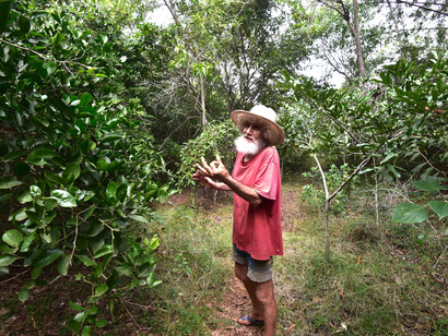 Aurovillean Bernard in his regenerated Tropical Dry Evergreen forest, Pebble Garden © Ashish Kothari