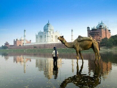 Índia. Homem com seu camelo em Agra