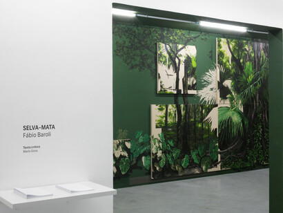 Fábio Baroli. Courtesy of Zipper Galeria