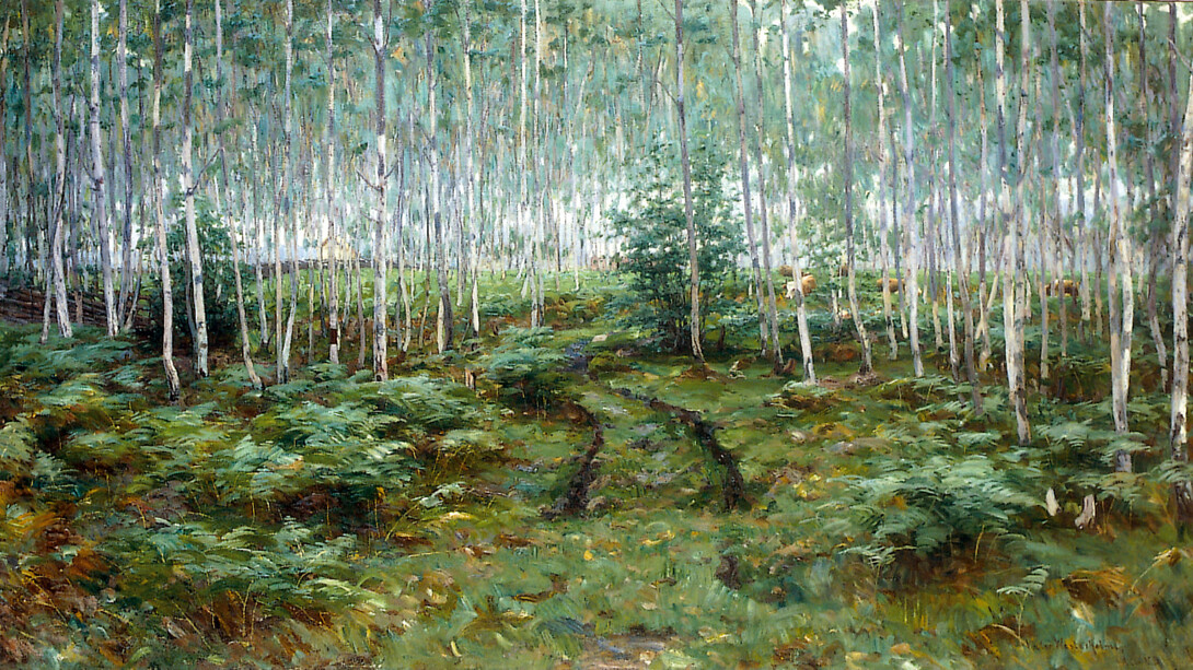 Three views on the landscape, artwork in exhibition. Courtesy of Turku Art Museum