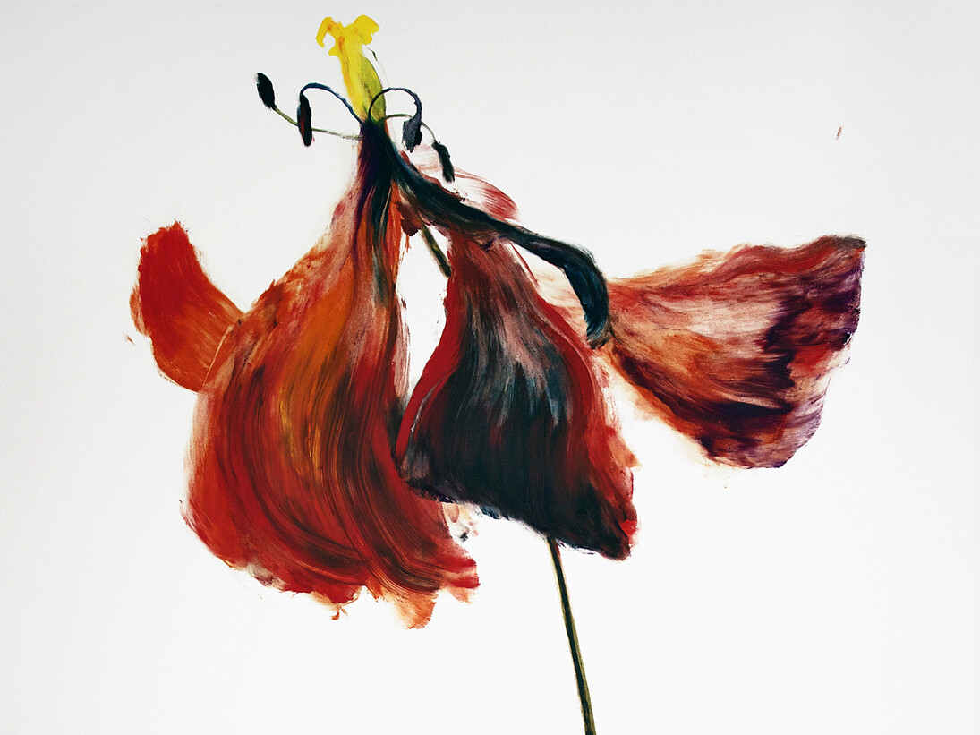 Gaël Davrinche, Memento Mori, 2015 © the artist, courtesy Magda Danysz gallery