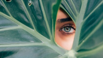 Las preferencias ocultas