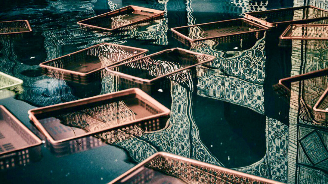 Soft Silence Of The Arts. Courtesy of Atelier Natalia Gromicho