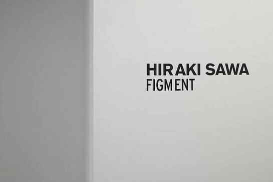 Hiraki Sawa Figment, Installation view, Photographer: Bill Orcutt