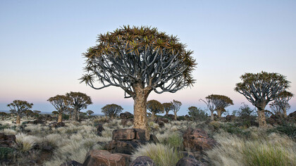 Guinea Equatorial share a common fate with most other African countries