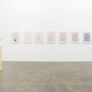 Instances of Seeing, Exhibition view. Courtesy of Fortes D’Aloia & Gabriel