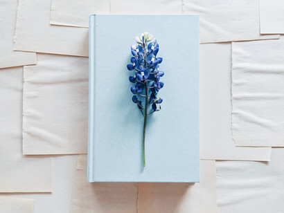 A greeting card is a firm testimony of your loyalty 